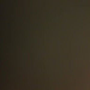 Meet your Posher, Raina